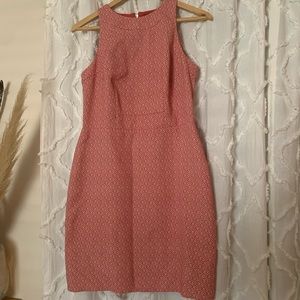 Professional Ann Taylor Dress